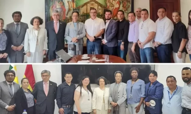 CIDH sobre Santa Cruz: Uso de la violencia en los “36 días de paro”, ataques a la Policía, quemas de instituciones públicas y agresiones a periodistas